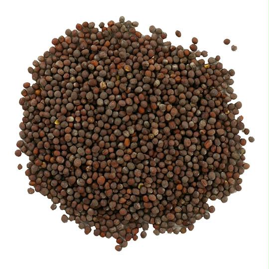 Mustard Seed, Brown Whole ORGANIC