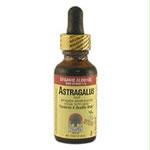 Astragalus Root