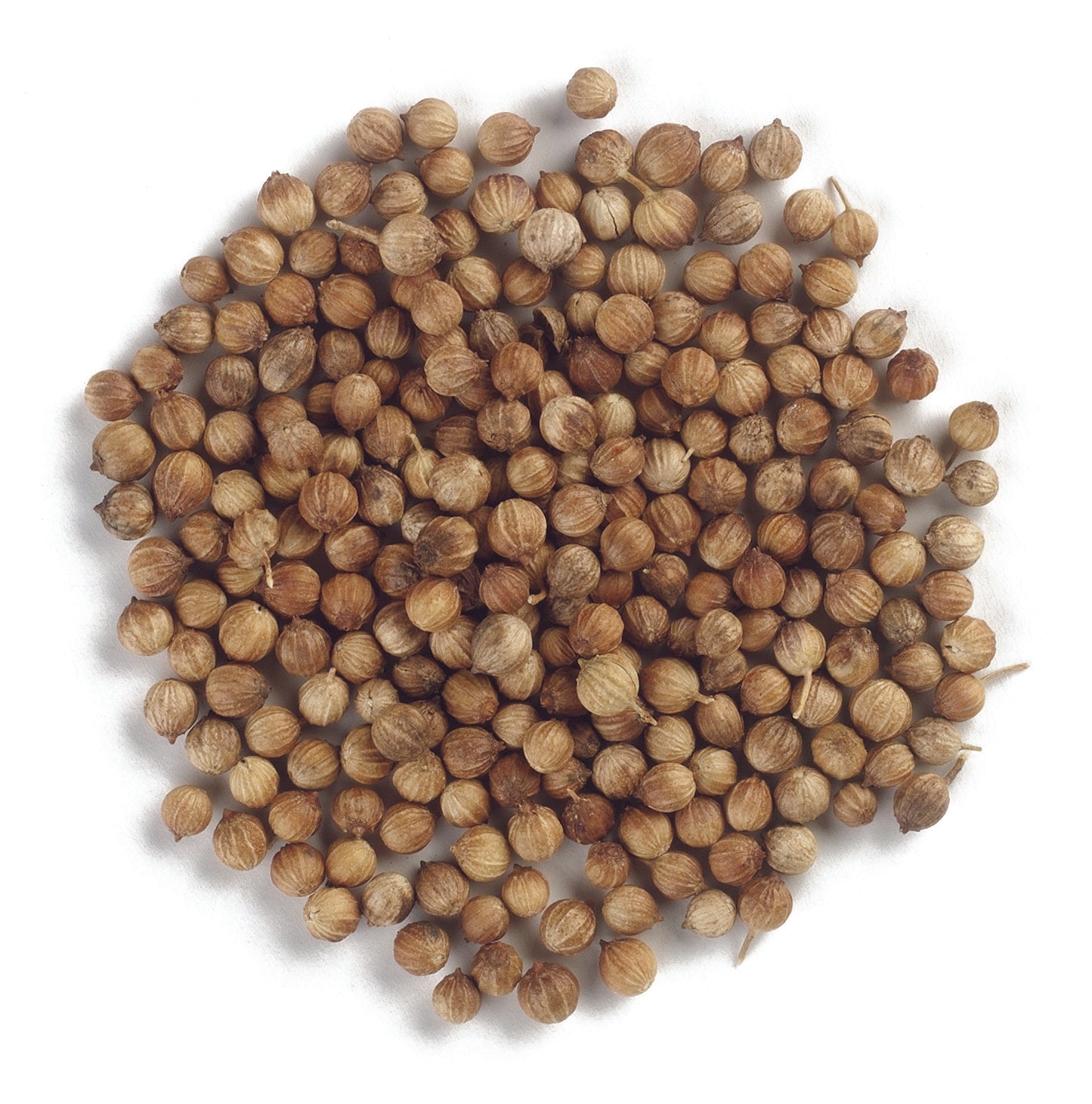 Coriander Seed Whole ORGANIC