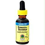 Echinacea & Goldenseal 1 fl. oz.