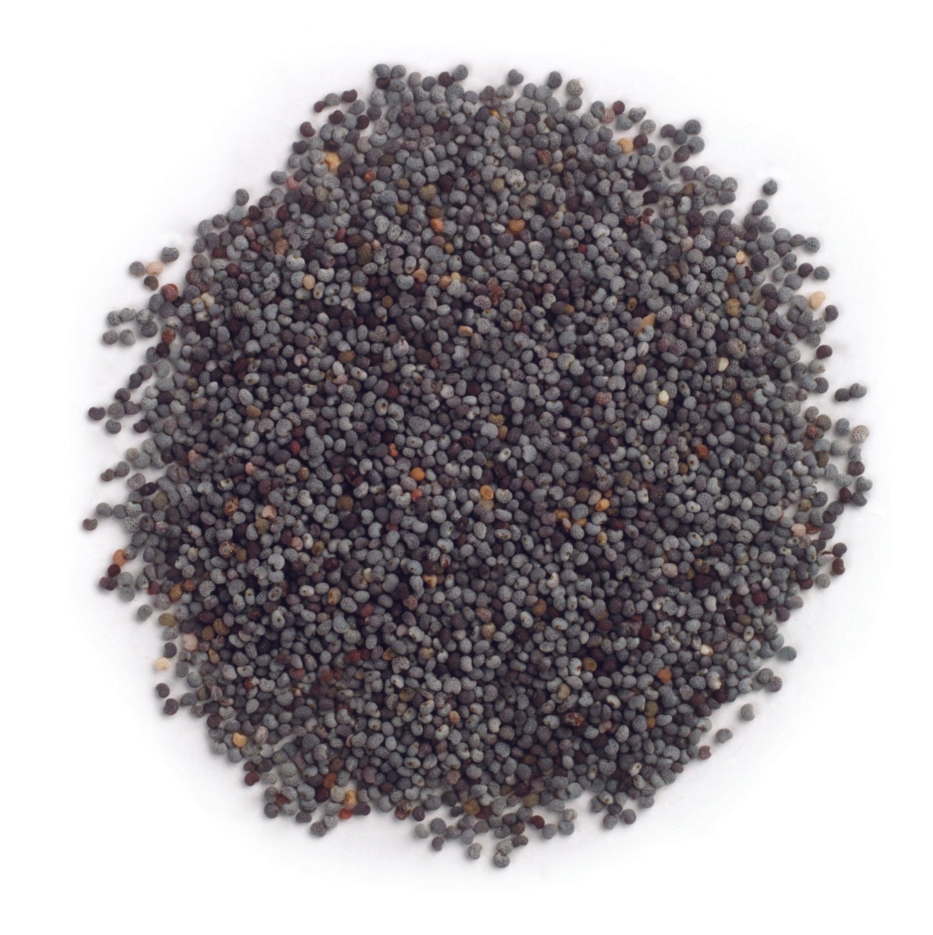 Poppy Seed Whole ORGANIC