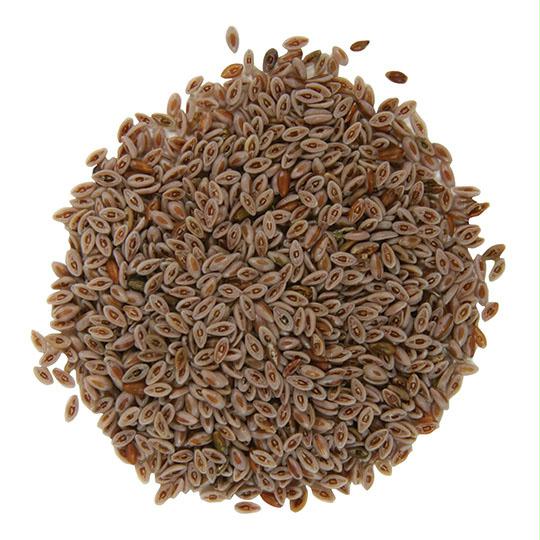 Psyllium Seed Whole ORGANIC