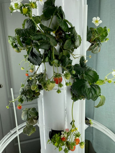 Indoor & Outdoor Garden Towers